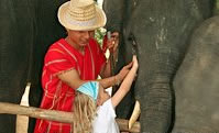 phuket safari, phuket